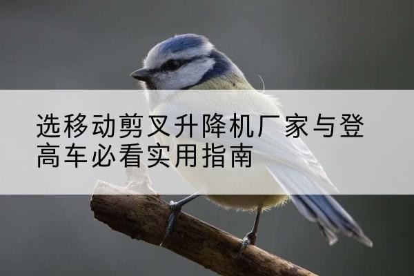 互助电动升降机厂家-选移动剪叉升降机厂家与登高车必看实用指南