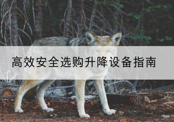 互助升降货梯厂家推荐-*安全选购升降设备指南