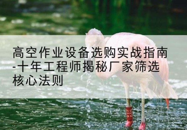 互助剪叉式升降机厂家-高空作业设备选购实战指南-十年工程师揭秘厂家筛选核心法则